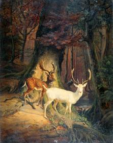 Damwild