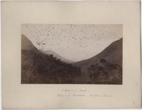 Ansicht: "Partie v. d. von der Sierrastraße. Col. Donna Francisca"