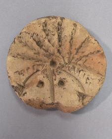 Stempel mit Dattelpalme