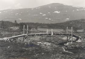 Holzbrücke