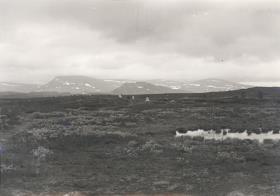 Ultevis Heide