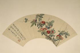 Japanische Quitte