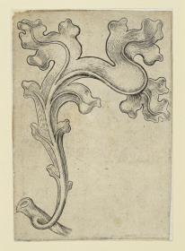 Diverse Ornamentblätter: Blatt 5: Krabbe