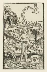 Ignavia-Allegorie