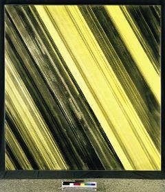 Gleichnis
