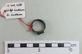 Fingerring