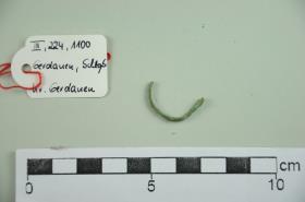 Fingerring