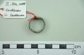 Fingerring