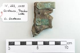 Messerscheidenfragment