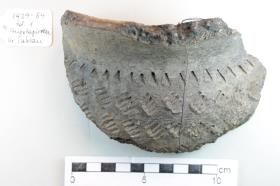 Gefäßfragment