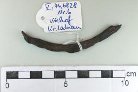 Steigbügelfragment