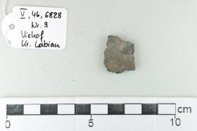Gefäßfragment