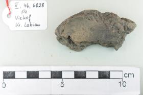 Gefäßfragment