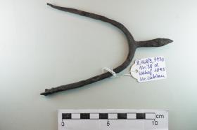 Stachelsporn