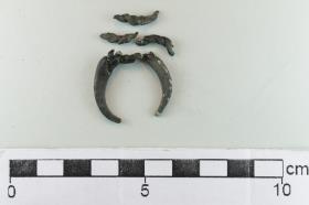 Fingerring