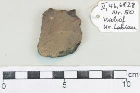 Gefäßfragment