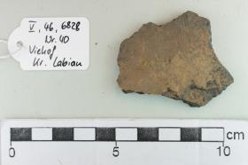 Gefäßfragment