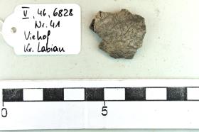 Leichenbrand mit Schädel-Fragment