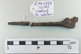 Sporenfragment