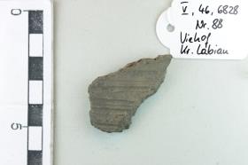 Gefäßfragment