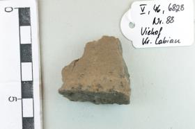 Gefäßfragment
