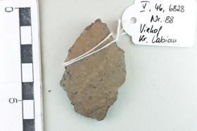 Gefäßfragment