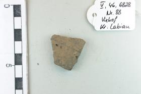 Gefäßfragment