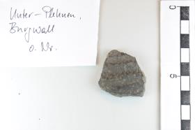 Gefäßfragment