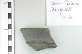 Gefäßfragment