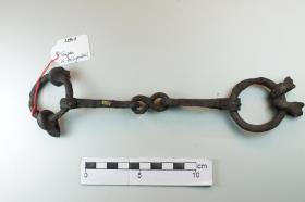 Ringtrense