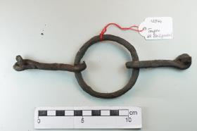 Ringtrense