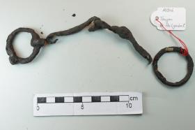 Ringtrense