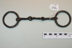 Ringtrense