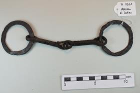 Ringtrense