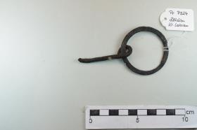 Ringtrense