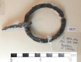 Ringtrense