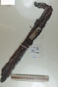 Schwertfragment