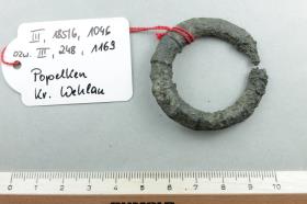 Ringfibel