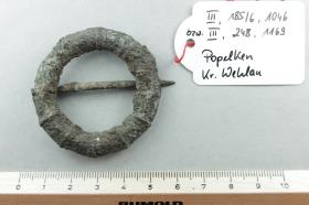 Ringfibel