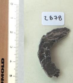 Trensenfragment