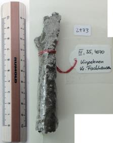 Lanzenspitzenfragment