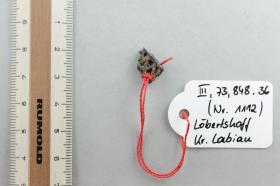 Vorhängeschloss-Fragment