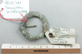 Ringfibel