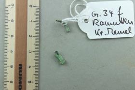 Ringfragment