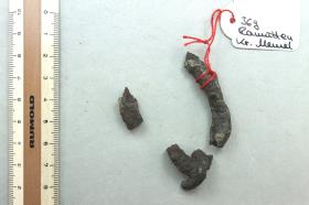Ringfragment