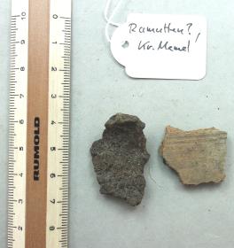 Gefäßfragment