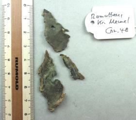 Lederfragment