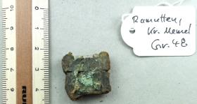 Gürtelriemenfragment