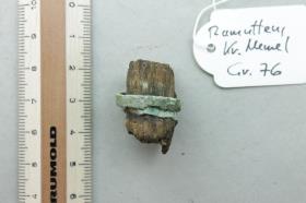 Messergrifffragment