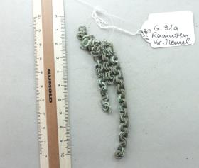 Kettenfragment